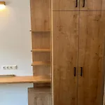 Seidl Kontrabass Lejlighed Mittenwald